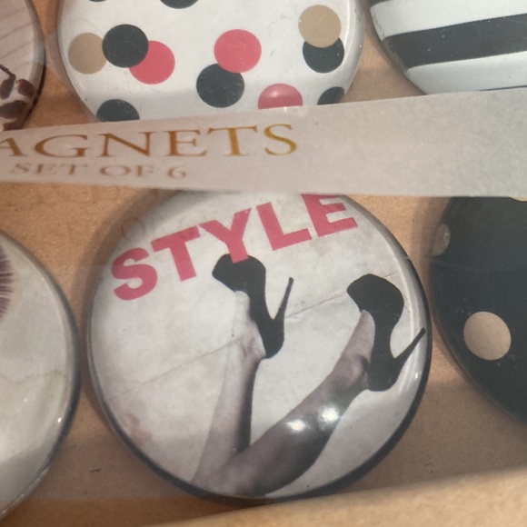 Papyrus glass dome 6 magnets fashion be beautiful New - Picture 6 of 15